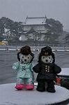 Dcim9858/DSC_2157