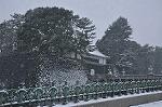 Dcim9858/DSC_2162