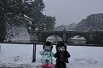 Dcim9858/DSC_2174