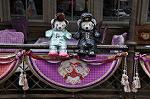 Dcim9859/DSC_2355