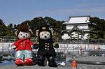 Dcim9863/DSC_2775