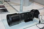 Dcim9881/DSC_5195