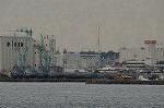 Dcim9882/DSC_5305