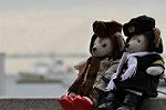 Dcim9882/DSC_5329