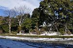 Dcim9883/DSC_5340