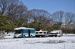 Dcim9883/DSC_5412