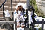 Dcim9886/DSC_5692