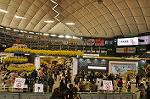 Dcim9889/DSC_6048