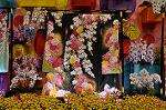 Dcim9889/DSC_6066