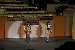 Dcim9890/DSC_6212