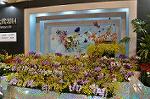 Dcim9891/DSC_6430