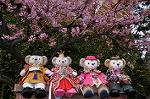 Dcim9904/DSC_8255