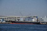 Dcim9910/DSC_9193