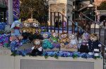 Dcim9919/DSC_0148