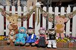 Dcim9924/DSC_0763