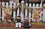 Dcim9925/DSC_0931