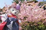Dcim9926/DSC_1020