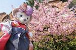 Dcim9926/DSC_1022