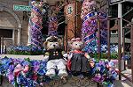 Dcim9927/DSC_1186