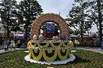 Dcim9937/DSC_2451