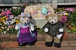 Dcim9938/DSC_2564