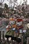 Dcim9949/DSC_3856