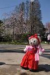 Dcim9951/DSC_4034