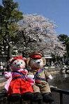 Dcim9951/DSC_4079
