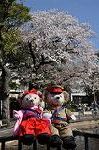 Dcim9952/DSC_4086