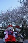 Dcim9952/DSC_4129