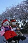 Dcim9952/DSC_4134