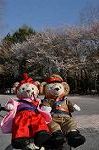 Dcim9952/DSC_4148