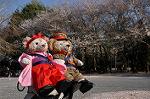 Dcim9952/DSC_4175