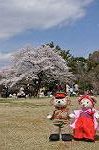 Dcim9953/DSC_4217