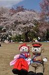 Dcim9953/DSC_4225
