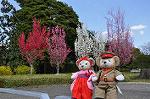 Dcim9953/DSC_4269
