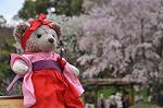 Dcim9954/DSC_4326