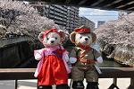 Dcim9954/DSC_4399
