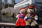Dcim9955/DSC_4459