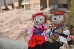 Dcim9956/DSC_4593