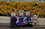 Dcim9957/DSC_4701