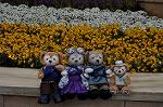 Dcim9957/DSC_4702