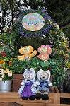 Dcim9959/DSC_4936