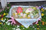 Dcim9959/DSC_4951