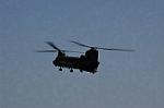 Dcim9976/DSC_7287