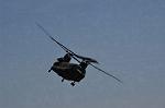 Dcim9976/DSC_7336