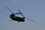 Dcim9977/DSC_7339