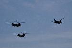 Dcim9977/DSC_7398