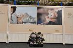 Dcim9978/DSC_7598