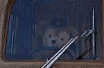 Dcim9980/DSC_7856